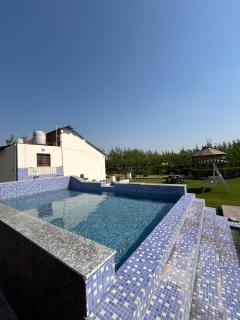 Dhawanfarms - - 1