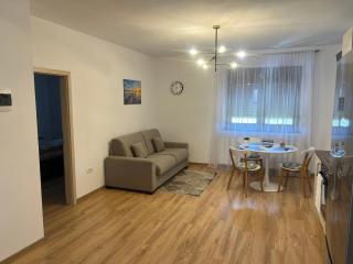 Emanuela Apartments - Pecica - 7