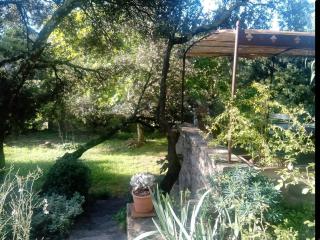 Mazet terrasse et jardin Nîmes - Nimes - 4