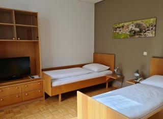 Hotel Viktor - Viktorsberg - 4