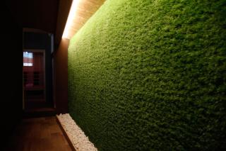 Spera Luxury Palermo & SPA - 9