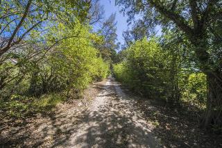 Casa Portico, con piscina in comune - 5