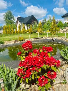 Domek caloroczny Panorama Swietokrzyska - Krajno Pierwsze - 7