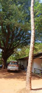 Jacinta's - By the beach - Cruz's place - Calangute - 1