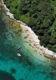 Apartments Villa Falcon - 0