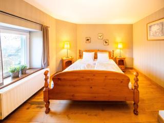 Test Property Beautiful holiday home near Vielsalm with rural view - Vielsalm - 5