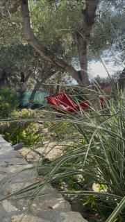 LILY'S VILLA LEMONIA - 8