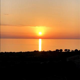 Contemporary villa, panoramic sea view - Corbara - 3