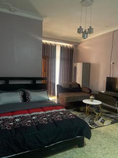 Fancy home - Kampala - 5