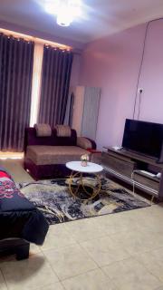 Fancy home - Kampala - 3