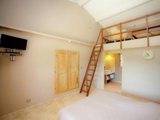 Luxury villa in Provence with a private pool - Martres-Tolosane - 2