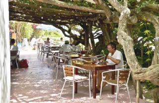 Hostal Alocs - Platja d'es Figueral - 8