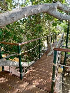 The Secret Treehouse - 8