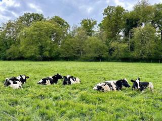 Charmante Datcha en Normandie - Les Damps - 4