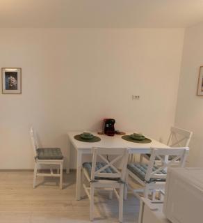 Aquarium Apartment - Buzău - 8