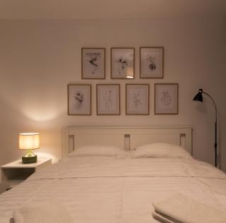 Aquarium Apartment - Buzău - 6