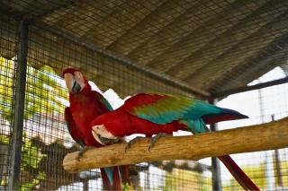 Holiday Aapke Liye Bungalow no 8- 3 BHK - 6