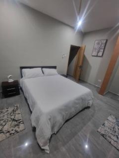 Airways Apartment 4 - Lusaka - 5