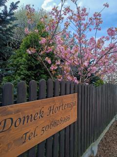 Domek Hortensja - Zawady - 4