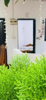 Golden Rich Hotel - Arugam Bay - 8