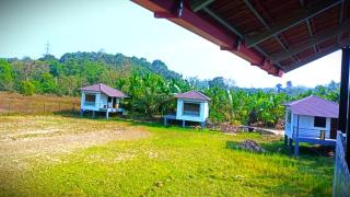 Jolly Homestay - Jog Falls - 3