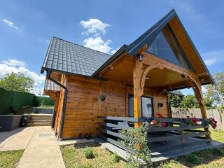 Luxury house Nena Fruška gora - kuća za odmor - Velika Remeta - 2