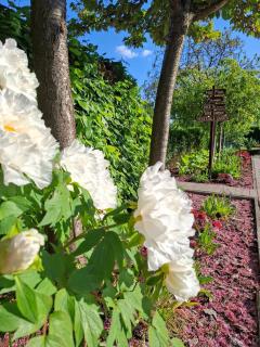 Tisza Lodge B&B - Panzió - Tiszaderzs - 8