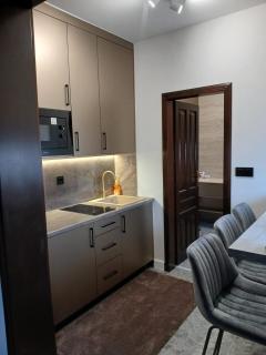 Han&Hayat Apartments Sarajevo - Sarajevo - 3