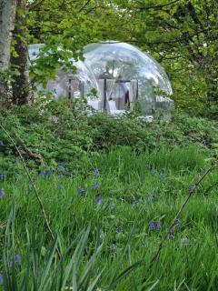 Cromore Retreat - Portstewart - 3