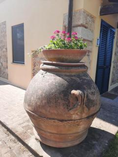 Podere la Botte - Lari - 5
