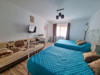 Casa bunicilor cu dor de Bucovina - Câmpulung Moldovenesc - 8
