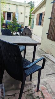 Benvinguts Casa y Apartamentos de 1 a 12 personas Pleno Centro Santa Rosa de Calamuchita - Santa Rosa de Calamuchita - 4
