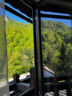 Pensiunea Roxana - Valea Vişeului - 4