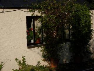 Pretty sunny cottage, Machynlleth - Machynlleth - 3