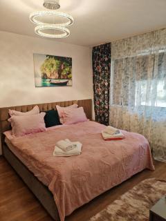 Mony Apartaments - Roman - 9