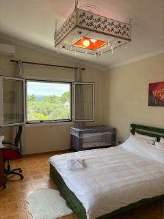 HeidiHouse - Patra - 2