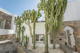 Damianos Mykonos Hotel - Città di Mykonos - 3