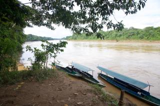 Secret Forest Station - Tambopata - 6