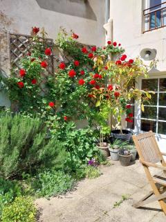 Petit Est - Eco Cottage in large private garden near Saint-Emilion - Blasimon - 3