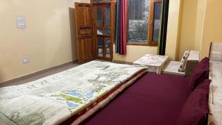 Kashwika Stays Jibhi - 8