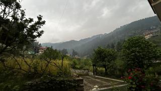 Kashwika Stays Jibhi - 4