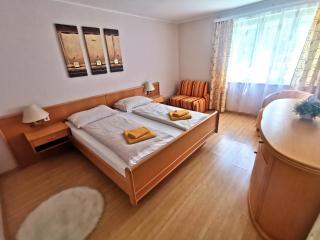 Haus Bellaflora Apartman - Haus im Ennstal - 1