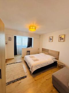 DOM STUDIO Suceava - Suceava - 0