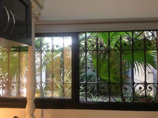 Depto Palermo botánico - 2