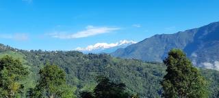 Silent Echo Campsite - 7