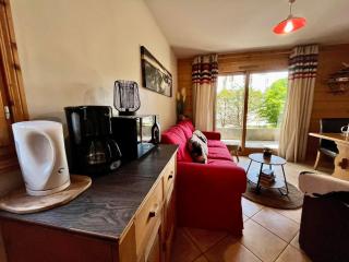 Superbe appartement 48m² avec terrasse, centre village, parking, proche ski-bus, non-fumeur - FR-1-624-46 - Samoëns - 5