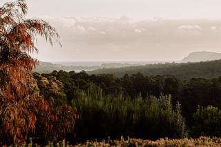 Hundred Acre Hideaway - Lunawanna - 8