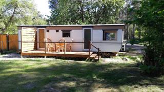 Tinyhaus2 idyllisch am Waldesrand - Niederdorla - 0