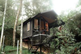 Garden of Eden-Thottam Munnar-Hiking and camping - Anachal - 8
