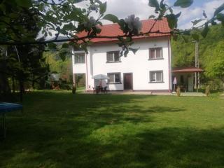 Vila Roberta Breaza ,BV - Breaza - 1